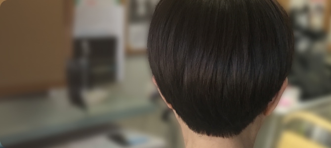 メニュー・料金